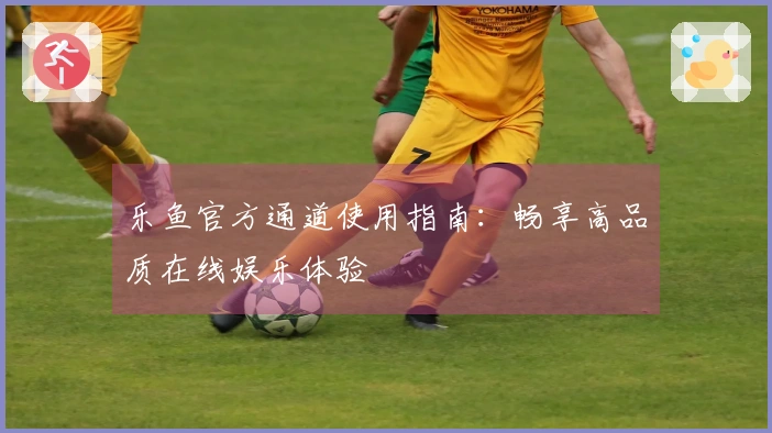 乐鱼官方通道使用指南：畅享高品质在线娱乐体验