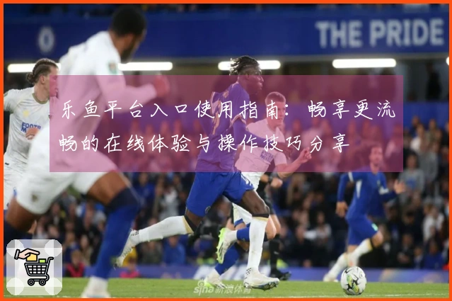乐鱼平台入口使用指南：畅享更流畅的在线体验与操作技巧分享