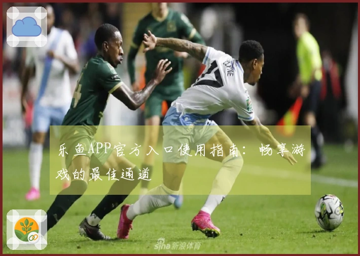 乐鱼APP官方入口使用指南：畅享游戏的最佳通道