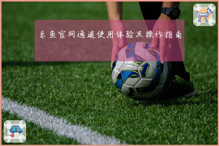 乐鱼官网通道使用体验及操作指南