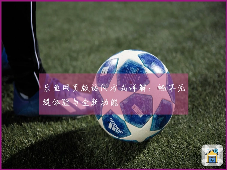 乐鱼网页版访问方式详解，畅享无缝体验与全新功能