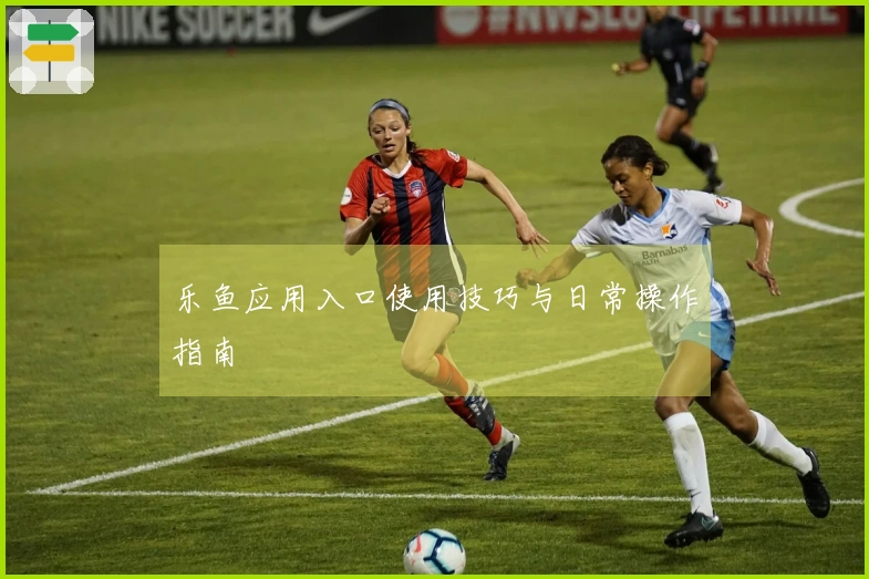 乐鱼应用入口使用技巧与日常操作指南