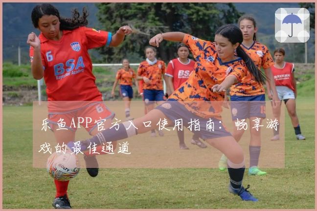 乐鱼APP官方入口使用指南：畅享游戏的最佳通道